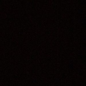 Meet your Posher, Jake